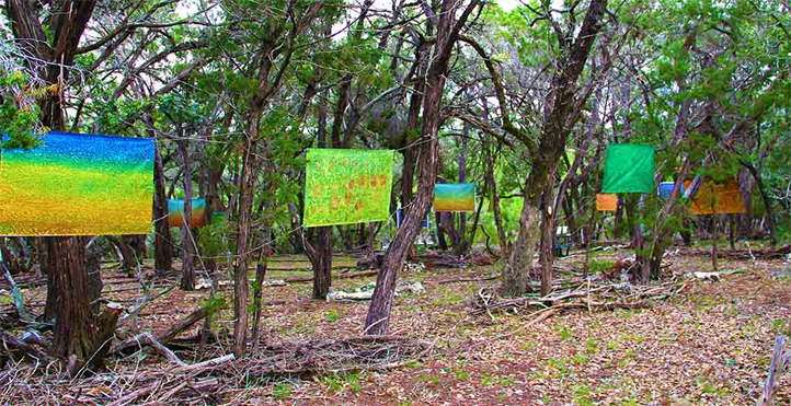 Museum in Austin Art Exhibit